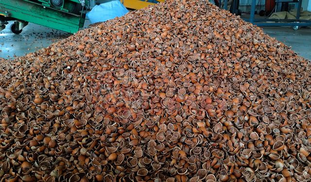 Fındık kabuğu savunma sanayinde kullanılacak