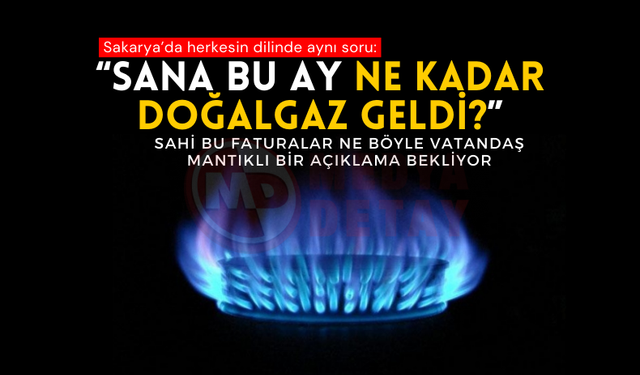 Sakarya'da vatandaş gündemi: "Sana ne kadar doğalgaz geldi?"