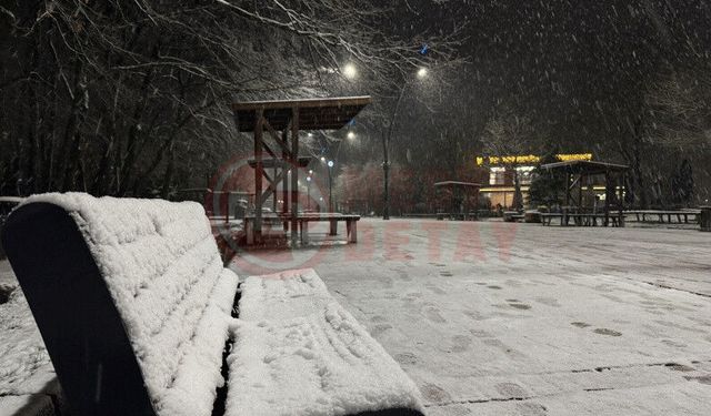 Sakarya'da lapa lapa kar yağışı başladı
