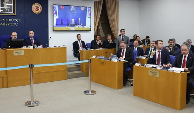 TBMM Plan ve Bütçe'de Türkiye Varlık Fonu'nun denetim raporları görüşülüyor