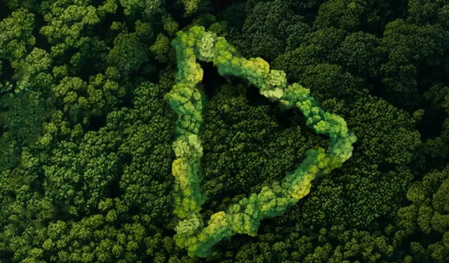 Yeşil Vatan finalistleri belli oldu...