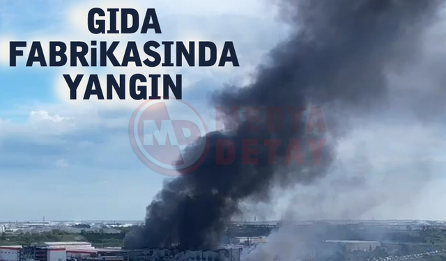 Gıda fabrikasında yangın!