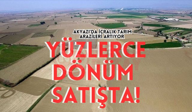 Akyazı’da icralık tarım arazileri artıyor