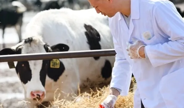 Tarımda maliyetler hız kesmiyor...