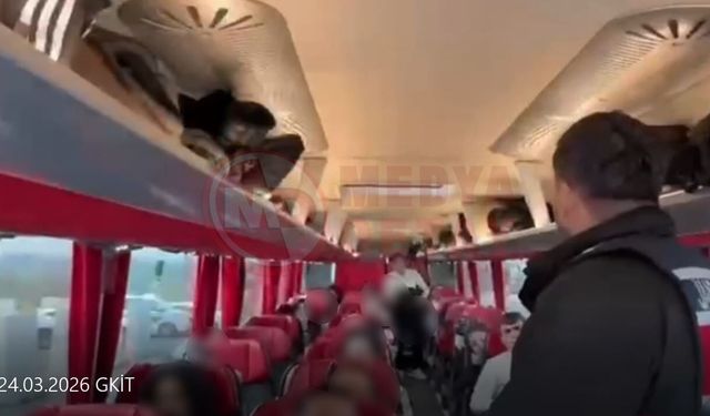 70 düzensiz göçmen yakalandı