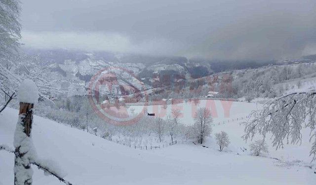 Sakarya’da aynı anda iki mevsim yaşanıyor