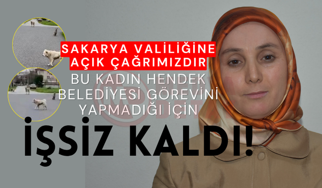 Hendek Belediyesi görevini yapmadığı için işsiz kaldı!