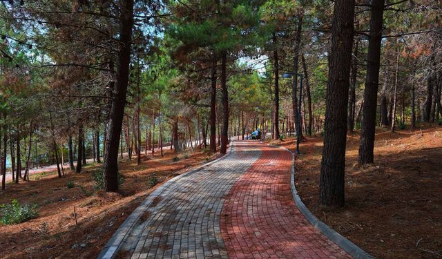 Sakaryalılar baharı ‘Huzur Koridoru’nda koşarak karşılayacak