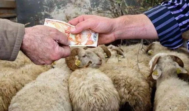 2026 Yılı Kurban Hizmetleri Tebliği 'Resmi'leşti..