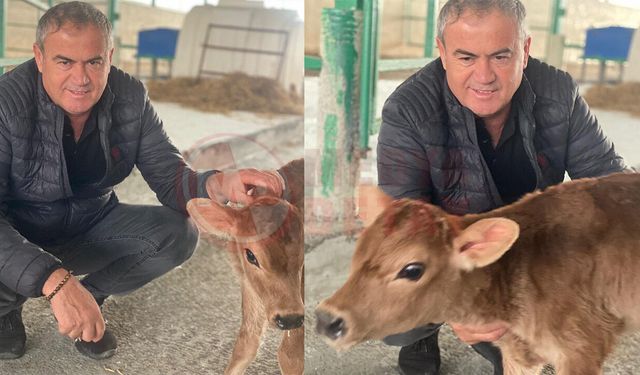 Kaynarca’da süt üreticisinden sert isyan