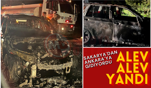 Sakarya'dan Ankara'ya gidiyordu: Alev alev yandı