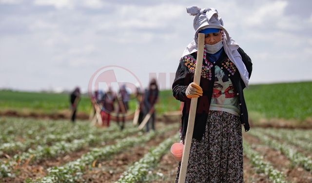 SATSO Meclis Üyesi Ahmet Bayrak’tan sert çıkış!