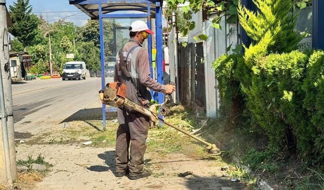 Daha yeşil bir Serdivan için çalışmalar sürüyor