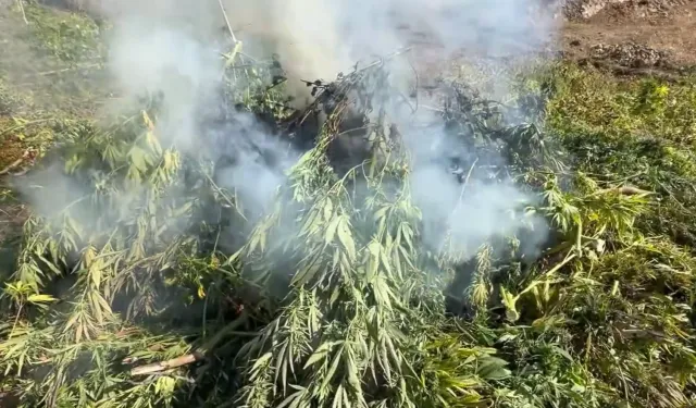 18 ilde uyuşturucuya 80 gözaltı!