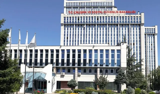 Bazı kamu kurumlarının hizmet kolları yeniden belirlendi