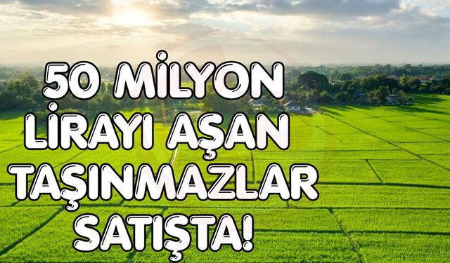 Sakarya’da milyonluk taşınmazlar satışa çıkıyor