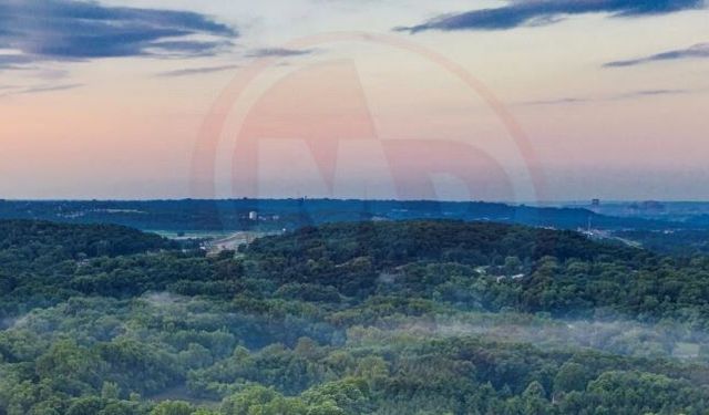 Sakarya’nın yüzde 43’ü ormanlık alan