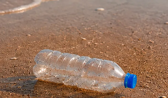 Plastiksiz Temmuz hareketi ile küresel farkındalık