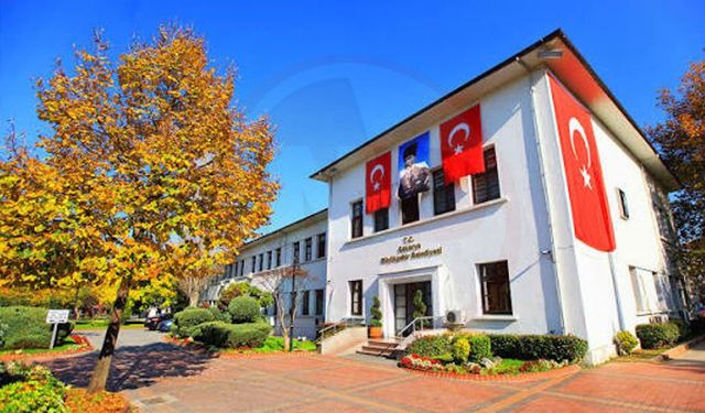 Sakarya'da peş peşe dev ihaleler!