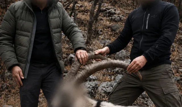 6 yıl önceki kaçak avın failleri tespit edildi! 5 yaban keçisi için ceza uygulandı