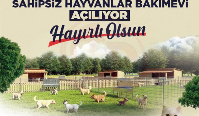 Can dostlara güvenli yuva