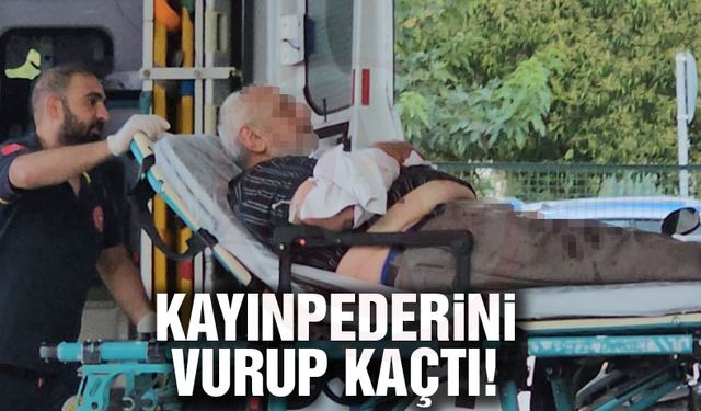 Kayınpederini vurup kaçtı!