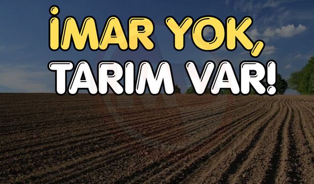 Milyonluk tarlalar satışta!