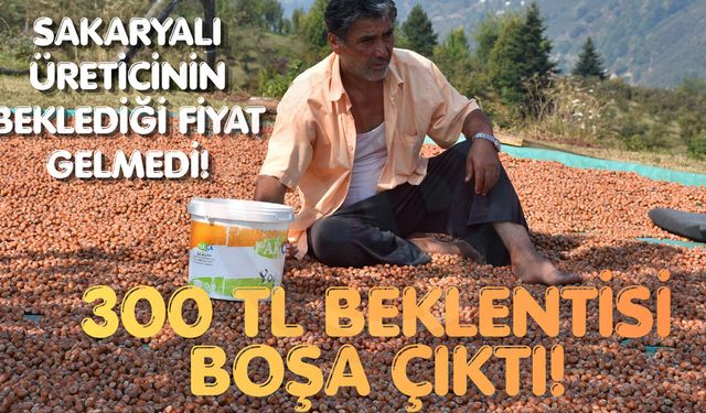 Sakaryalı üreticinin beklediği fiyat gelmedi!