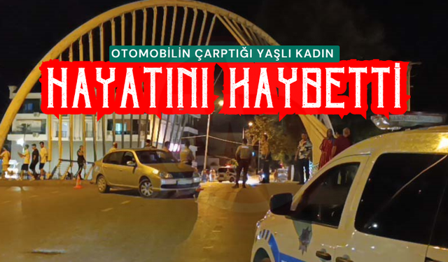 Otomobilin çarptığı yaşlı kadın hayatını kaybetti