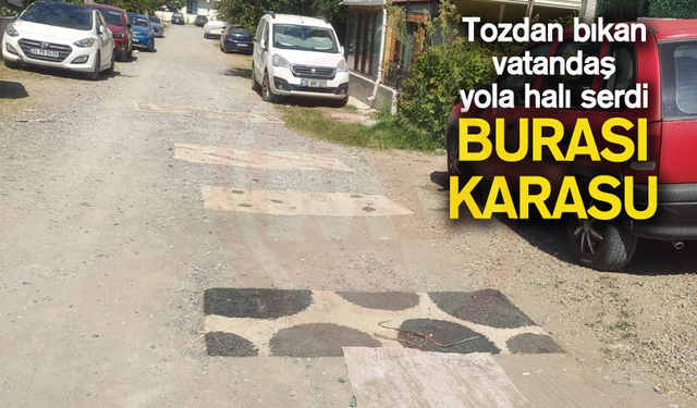 Tozdan bıkan vatandaş yola halı serdi