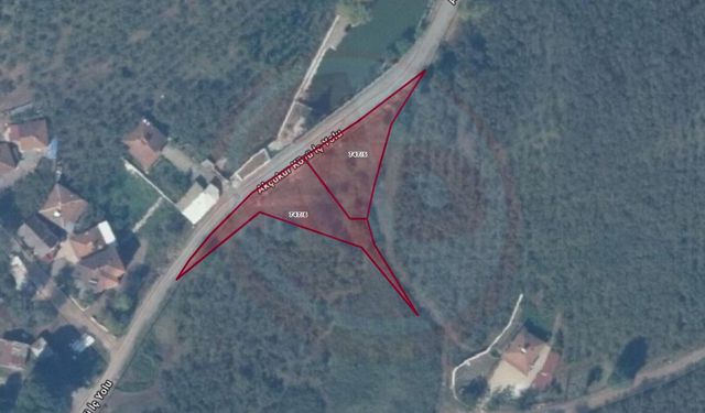 Ferizli Belediyesi 2 arsayı satışa çıkardı!