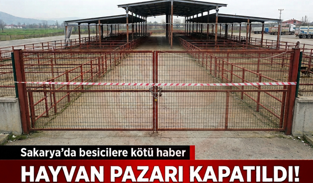 HAYVAN PAZARI KAPATILDI!