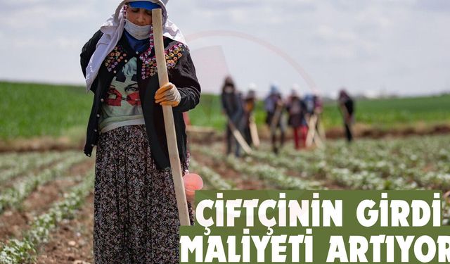Çiftçinin girdi maliyeti artıyor