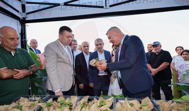 Serdivan İncir Festivali bugün de ilgi odağı olacak