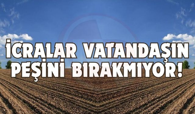 Tarla, arsa ve daireler ihaleye çıkıyor!
