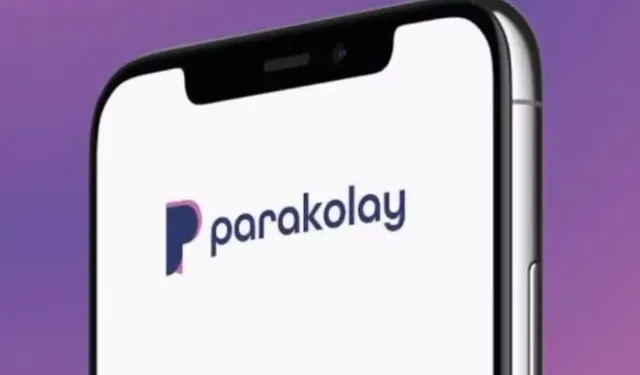 Merkez'den Parakolay kararı