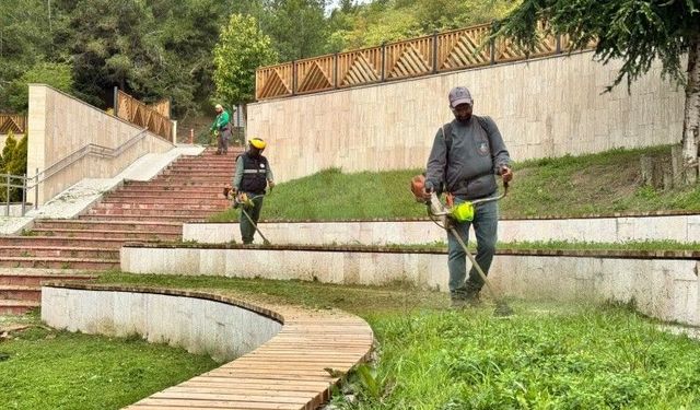 Serdivan’da yeşil alanlarda kapsamlı bakım