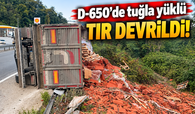 D-650'de tuğla yüklü TIR devrildi!