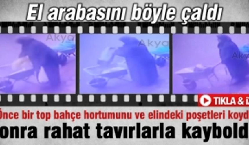 El arabasını böyle çaldı