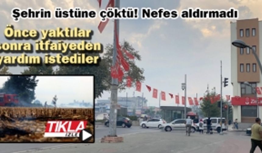 Şehrin üstüne çöktü! Nefes aldırmadı