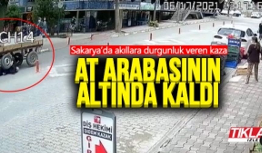 At arabasının altında kaldı