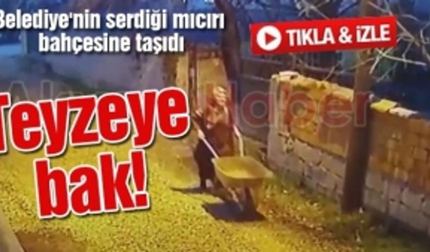 Belediye'nin serdiği mıcırı bahçesine taşıdı