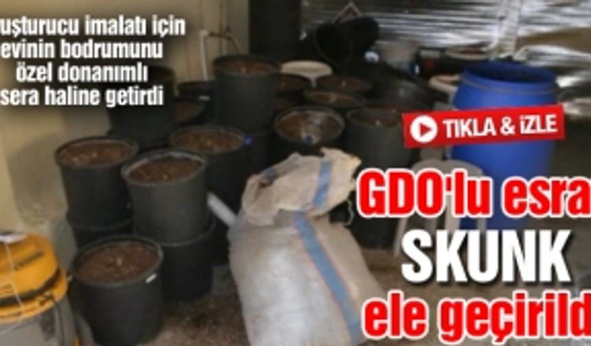 GDO'lu esrar SKUNK ele geçirildi