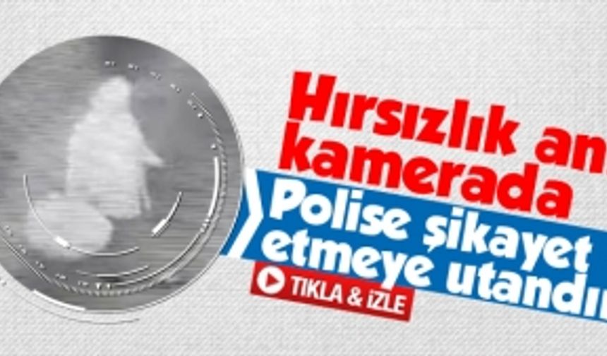 Sakarya'da hırsızlık anı kameralara yansıdı