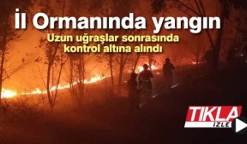 İl Ormanında yangın!