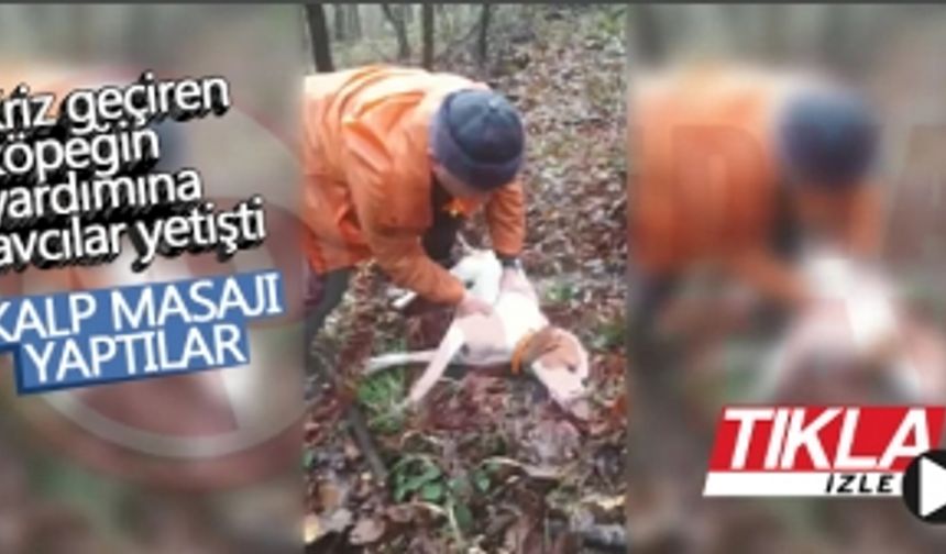 Kriz geçiren köpeğin yardımına avcılar yetişti