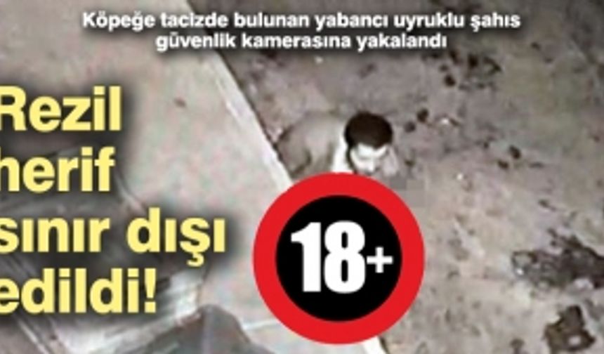 Köpeğe tacizde bulunan yabancı uyruklu şahıs güvenlik kamerasına yakalandı