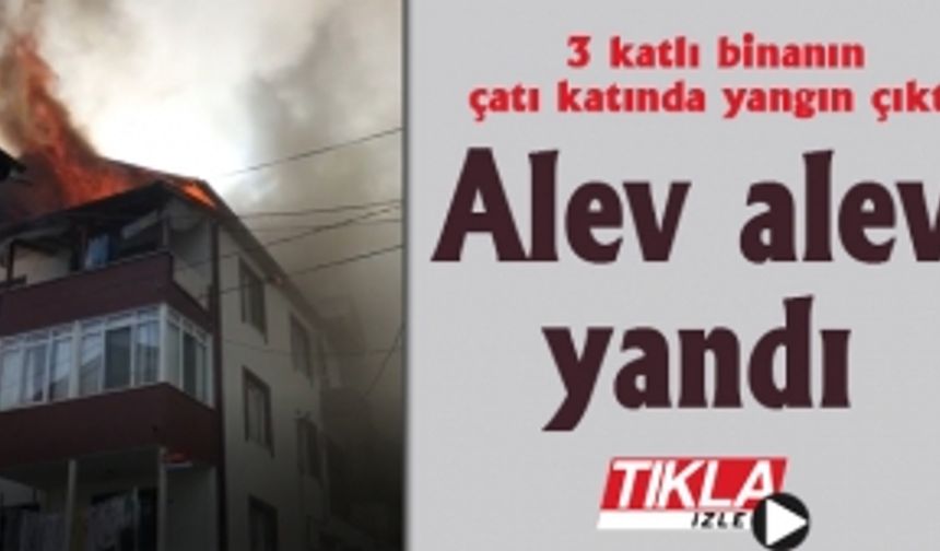 Alev alev yandı!