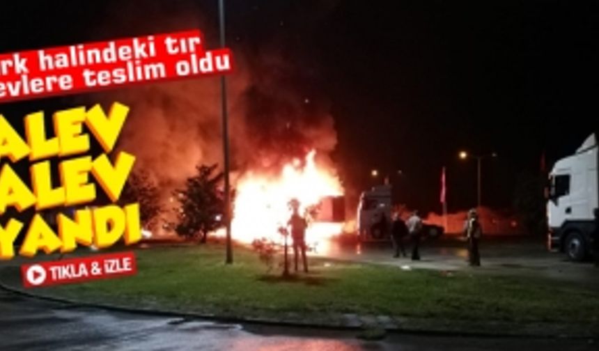 Park halindeki tır alevlere teslim oldu