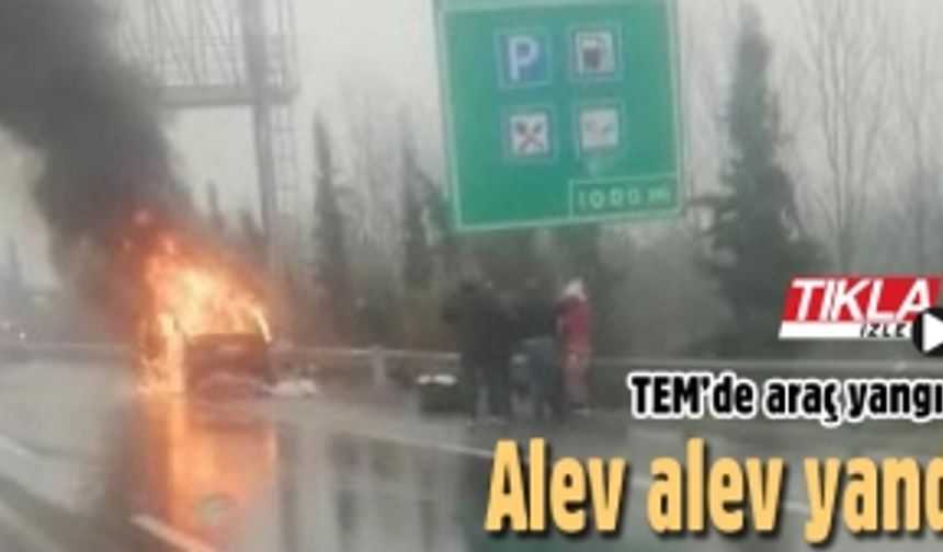 TEM’de araç yangını! Alev alev yandı